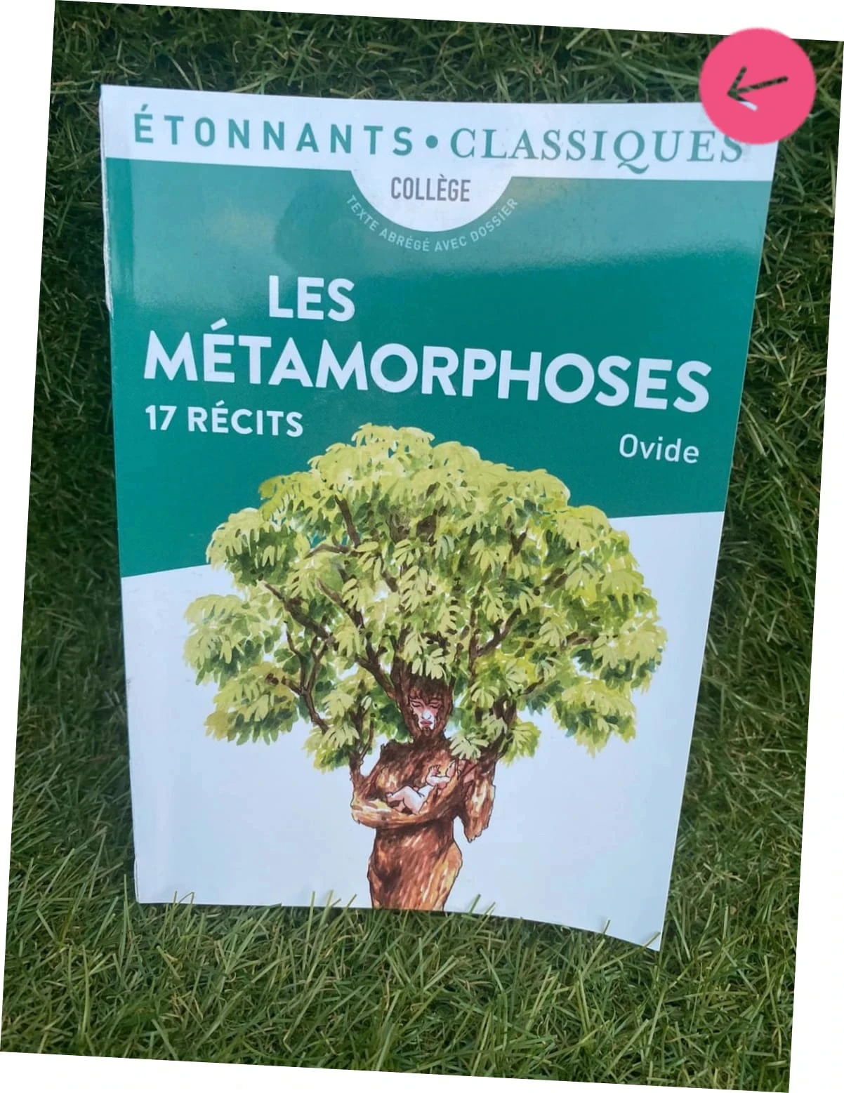 Livre les métamorphoses, collection sixième – photo 2